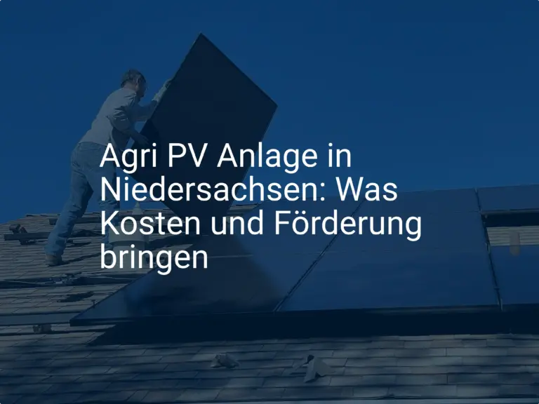 Agri PV Anlage in Niedersachsen: Was Kosten und Förderung bringen
