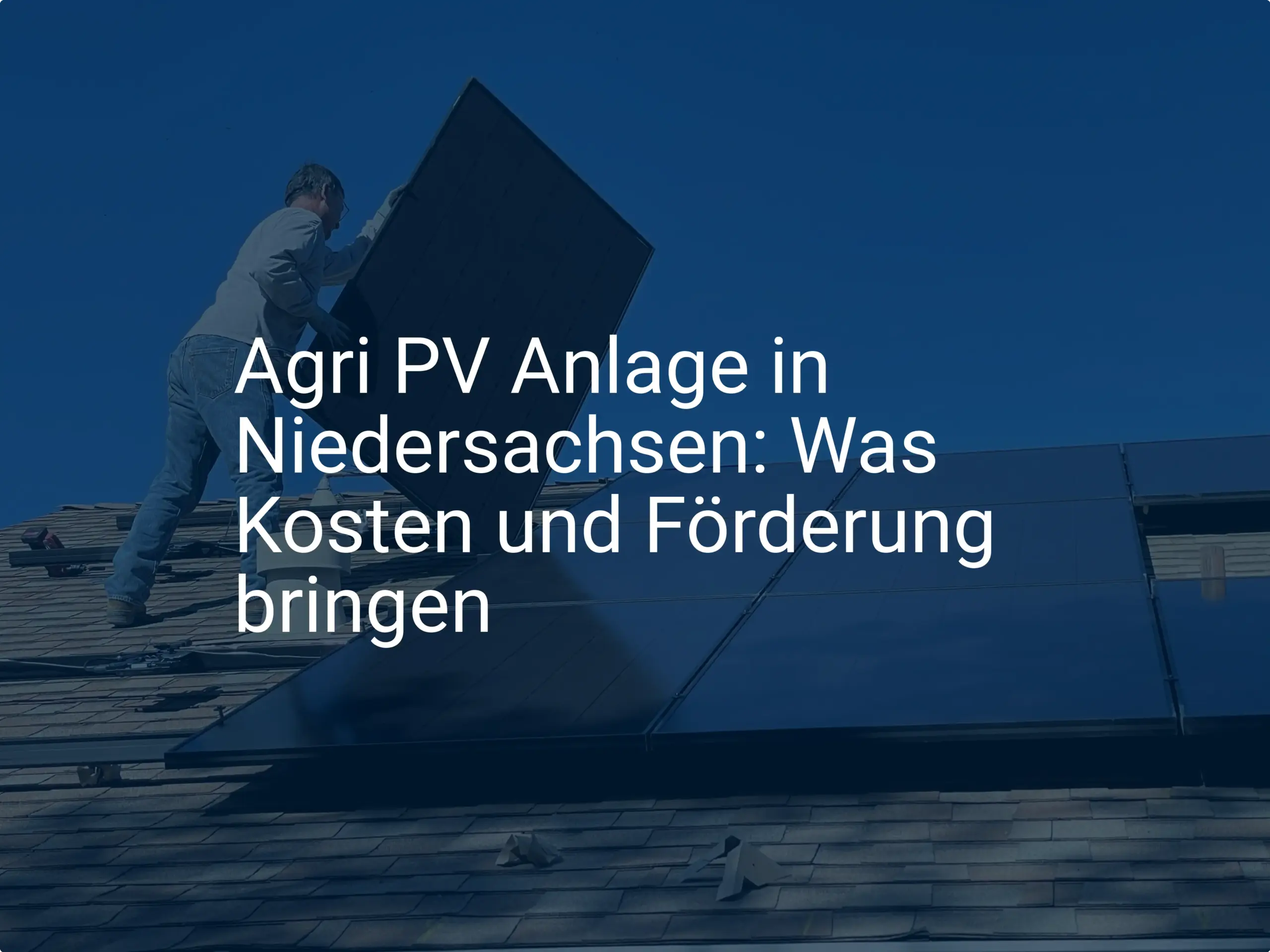 Agri PV Anlage in Niedersachsen: Was Kosten und Förderung bringen