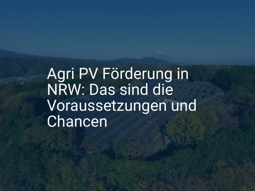 Agri PV Förderung in NRW: Das sind die Voraussetzungen und Chancen