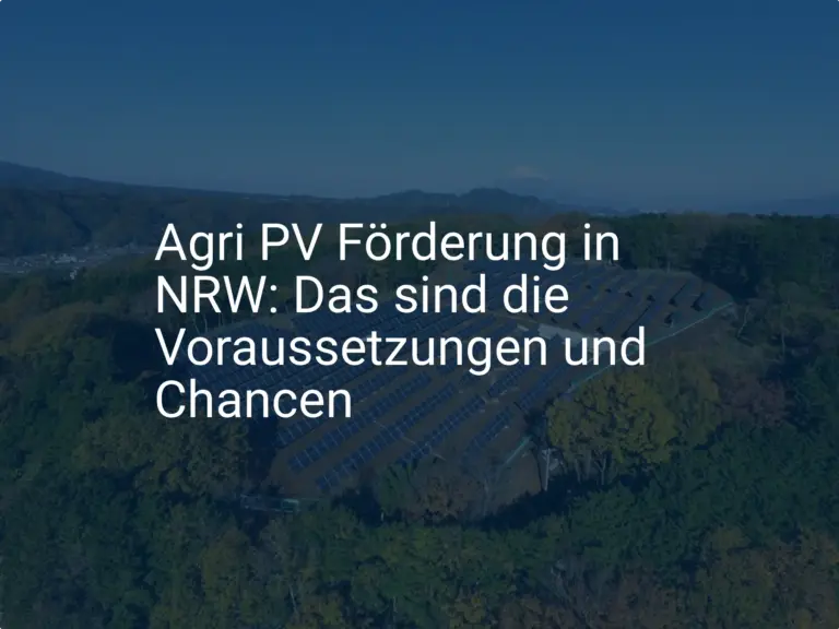 Agri PV Förderung in NRW: Das sind die Voraussetzungen und Chancen