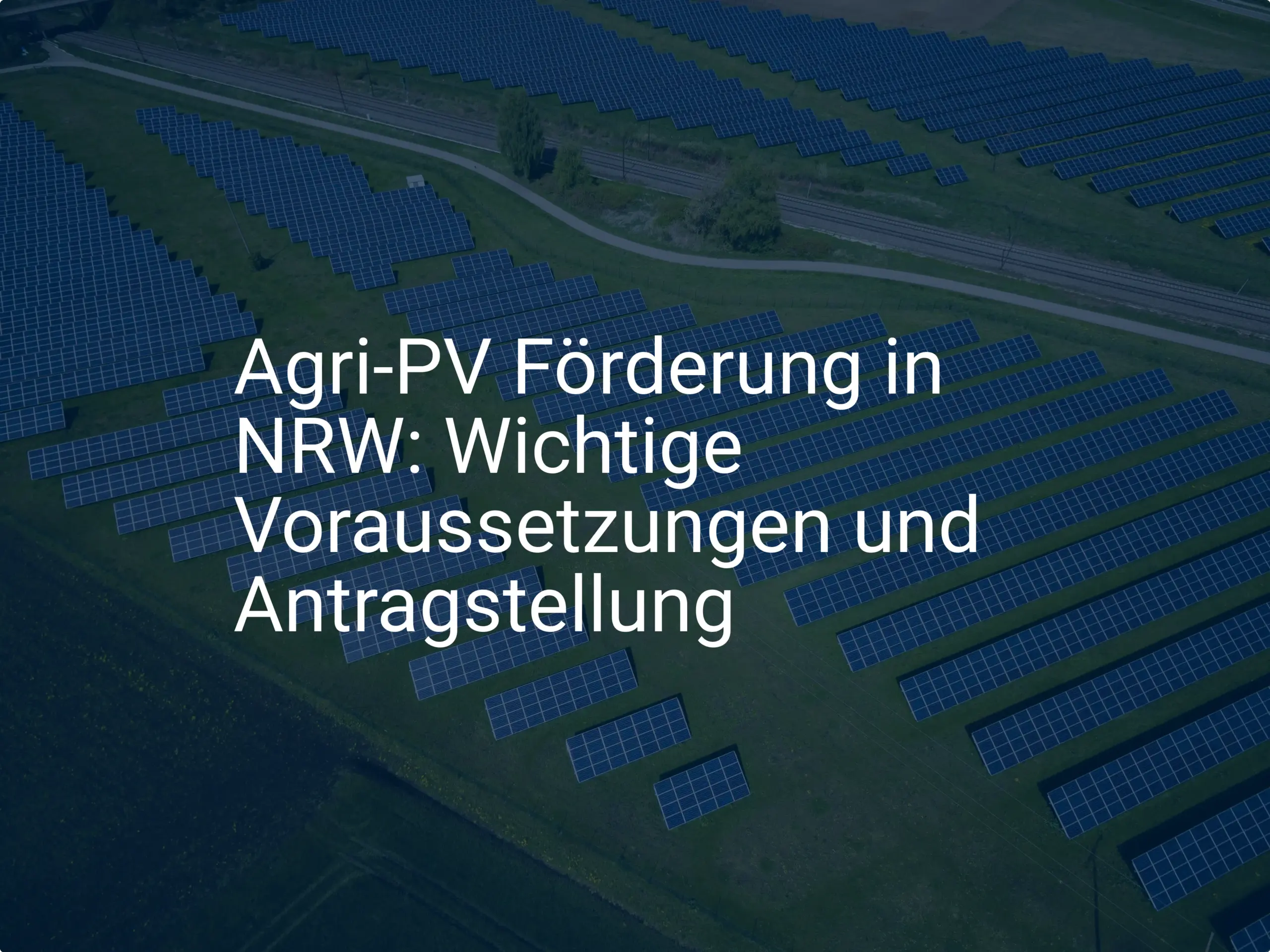 Agri-PV Förderung in NRW: Wichtige Voraussetzungen und Antragstellung