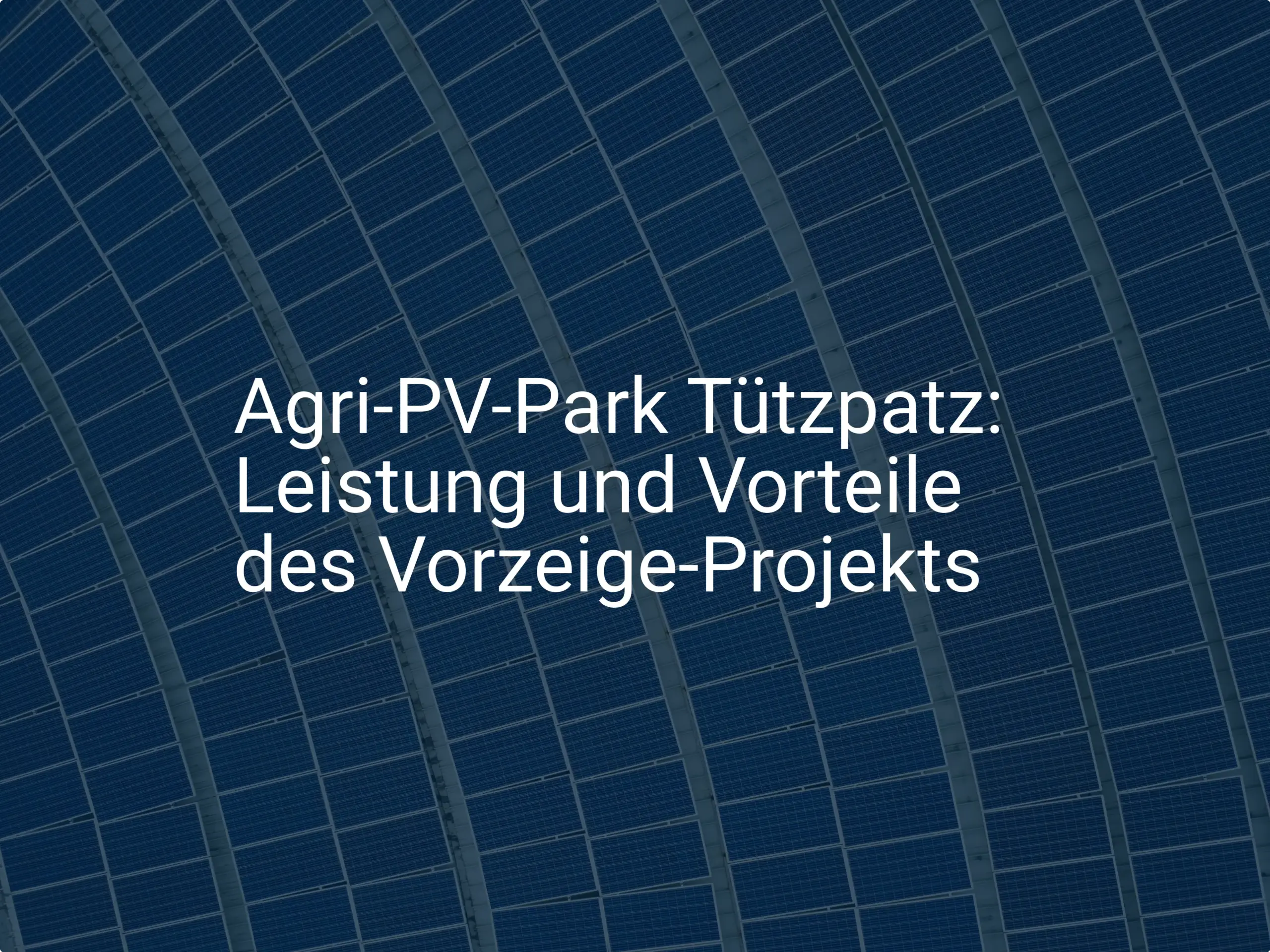 Agri-PV-Park Tützpatz: Leistung und Vorteile des Vorzeige-Projekts