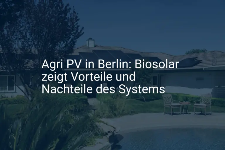 Agri PV in Berlin: Biosolar zeigt Vorteile und Nachteile des Systems