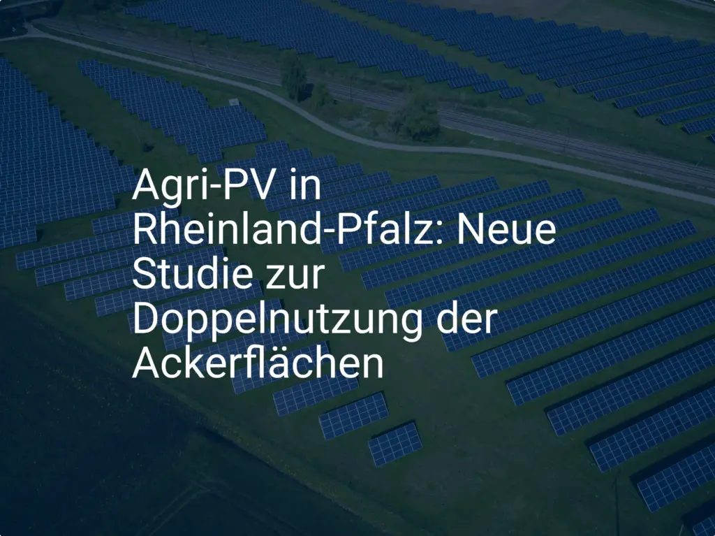 Agri-PV in Rheinland-Pfalz: Neue Studie zur Doppelnutzung der Ackerflächen