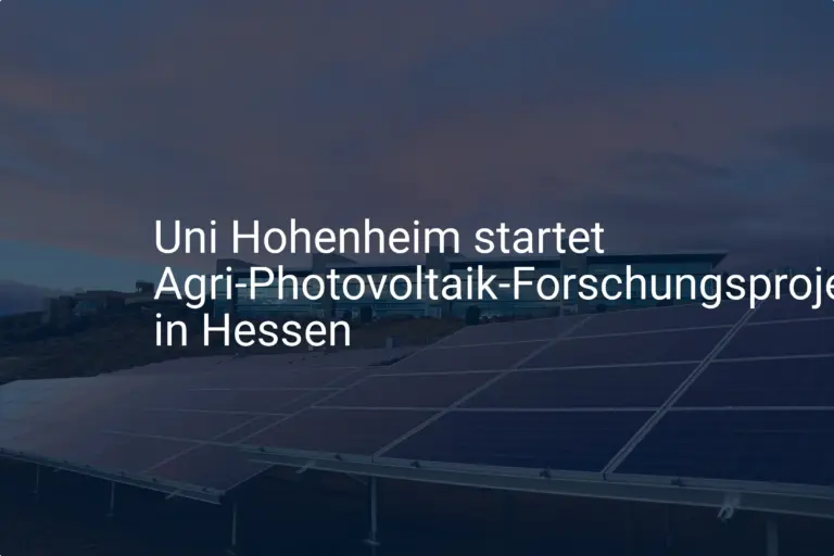 Agri-Photovoltaik Forschung: Uni Hohenheim startet Projekt in Hessen