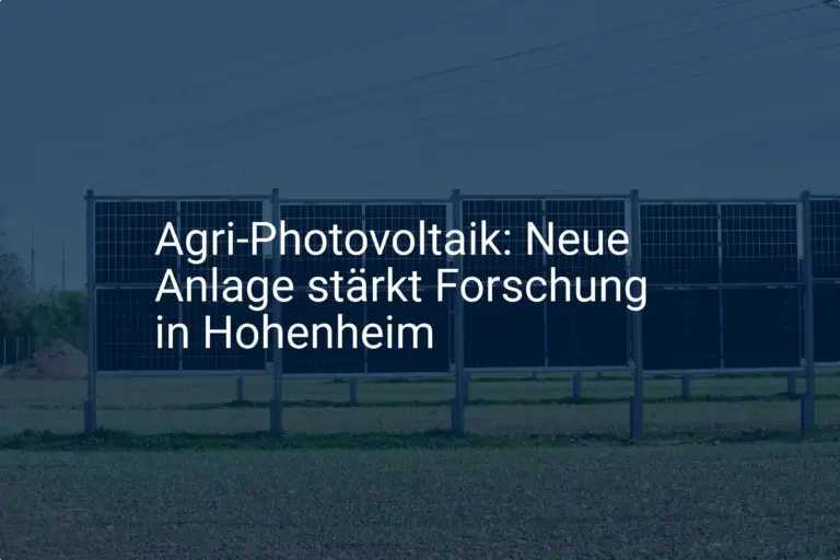 Agri-Photovoltaik Forschung in Hohenheim (BW) erhält neue Anlage
