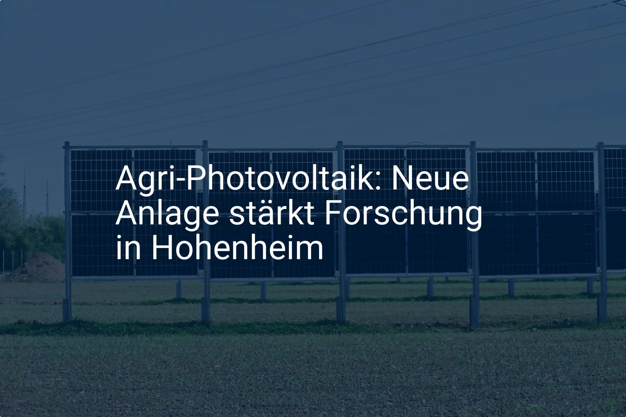 Agri-Photovoltaik Forschung in Hohenheim (BW) erhält neue Anlage