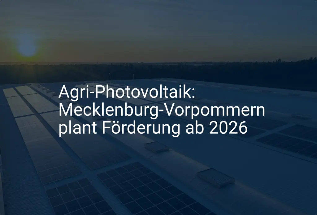 Agri-Photovoltaik: Mecklenburg-Vorpommern plant Förderung ab 2026