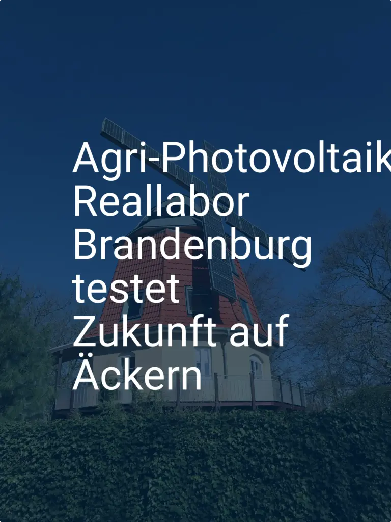 Agri-Photovoltaik: Reallabor Brandenburg testet Zukunft auf Äckern