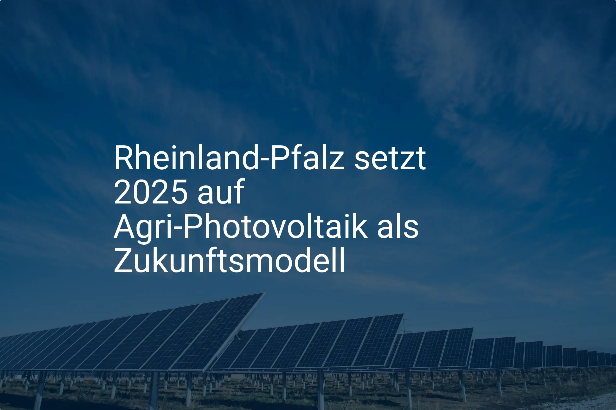 Agri-Photovoltaik: Rheinland-Pfalz startet 2025 Modellprojekt mit Förderung