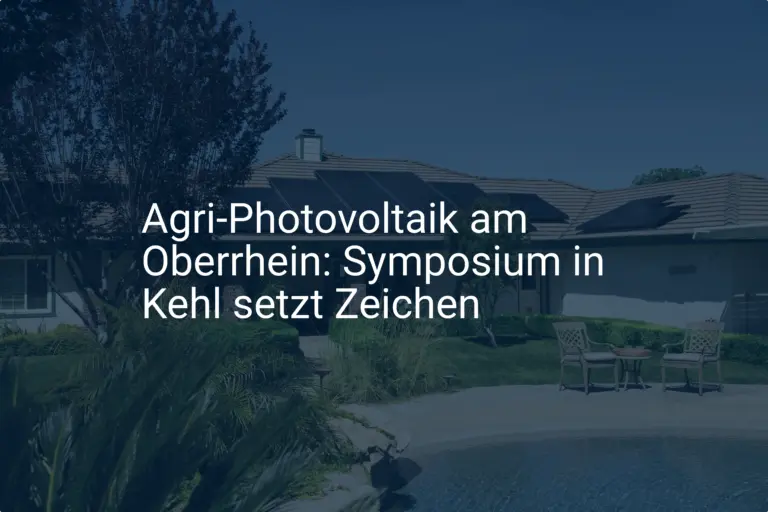 Agri-Photovoltaik am Oberrhein: Symposium in Kehl setzt Zeichen