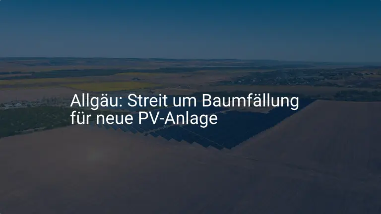 Allgäu: Streit um Baumfällung für PV-Anlage – Anwohner wehren sich