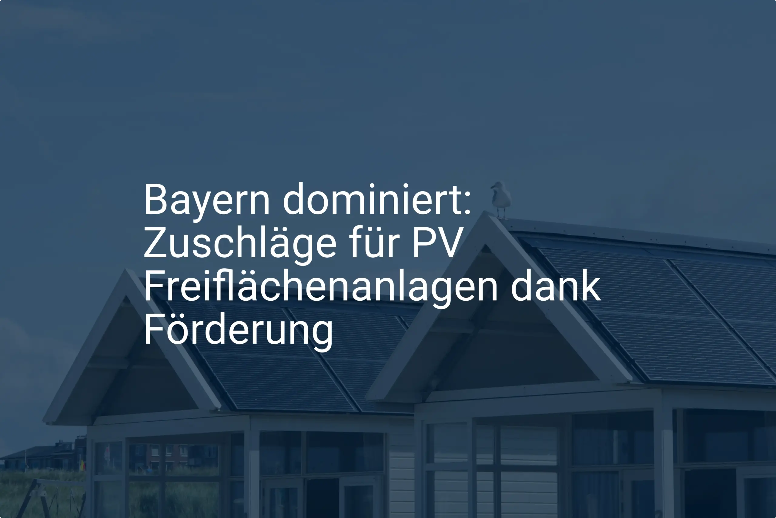 Bayern dominiert: Zuschläge für PV Freiflächenanlagen dank Förderung