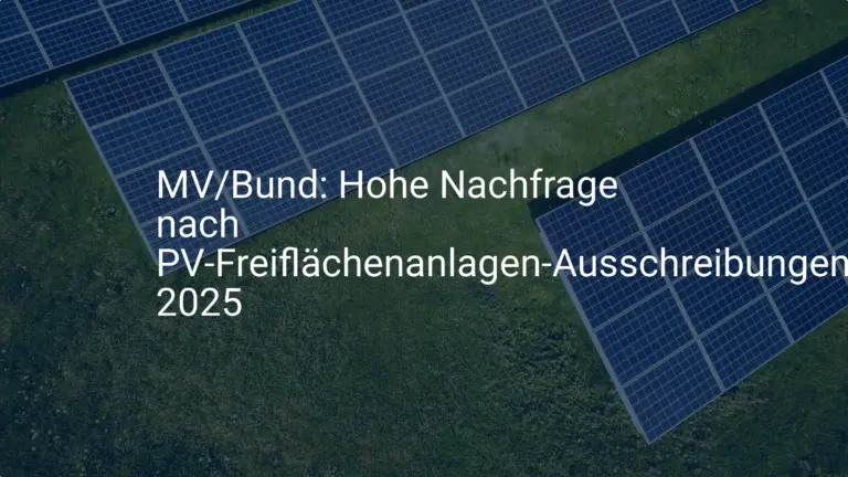 Boom bei PV-Freiflächenanlagen: Ausschreibung in Mecklenburg-Vorpommern 2025