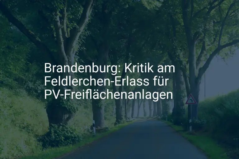 Brandenburg: Kritik an Feldlerchen-Erlass für PV-Freiflächenanlagen
