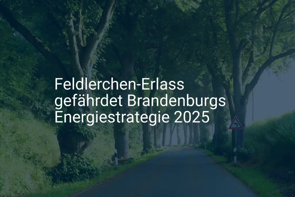 Brandenburgs Energiestrategie 2025: Kritische Auswirkungen des Feldlerchen-Erlasses?