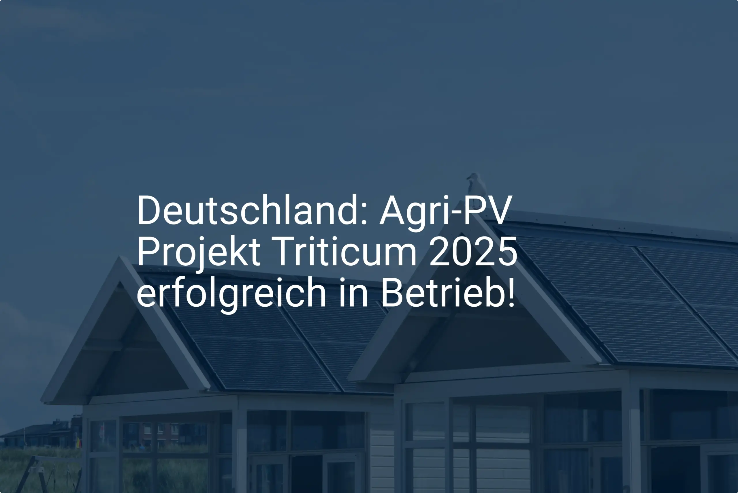 Deutschland: Agri-PV Projekt Triticum 2025 erfolgreich in Betrieb!