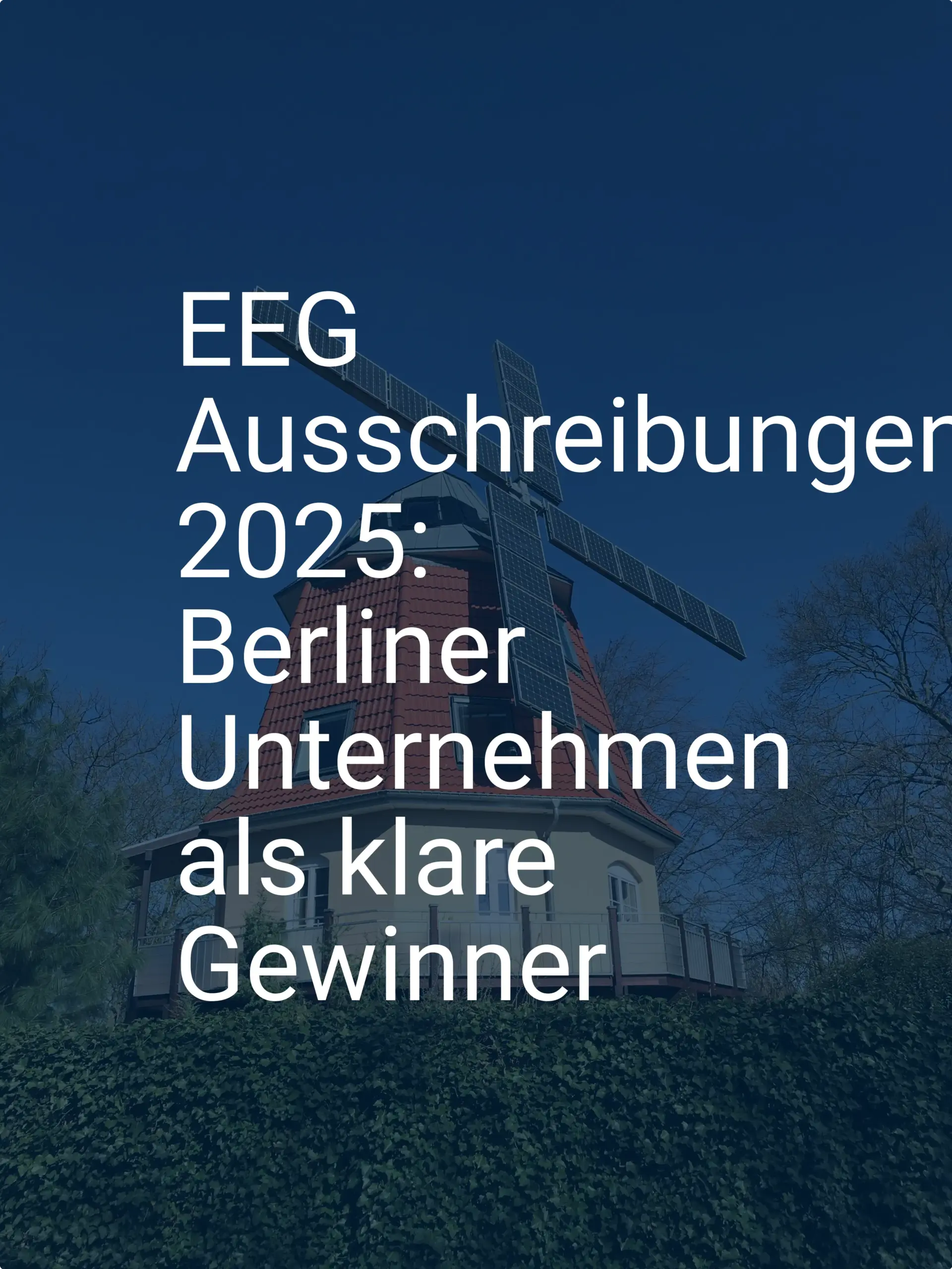 EEG Ausschreibungen 2025: Berliner Unternehmen als klare Gewinner