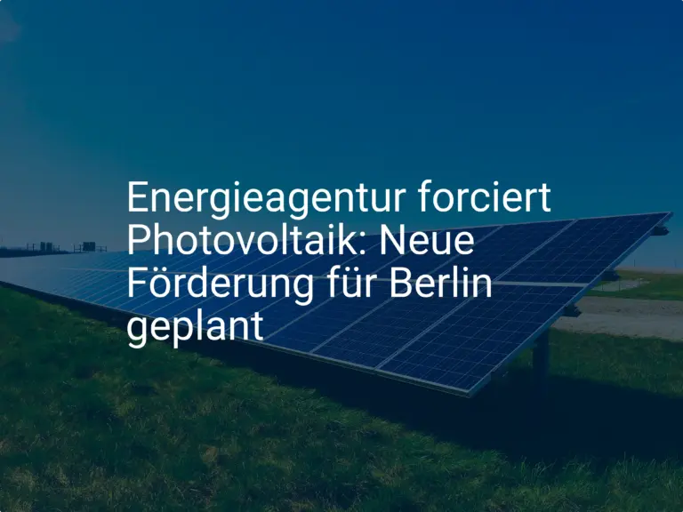 Energieagentur forciert Photovoltaik: Neue Förderung für Berlin geplant