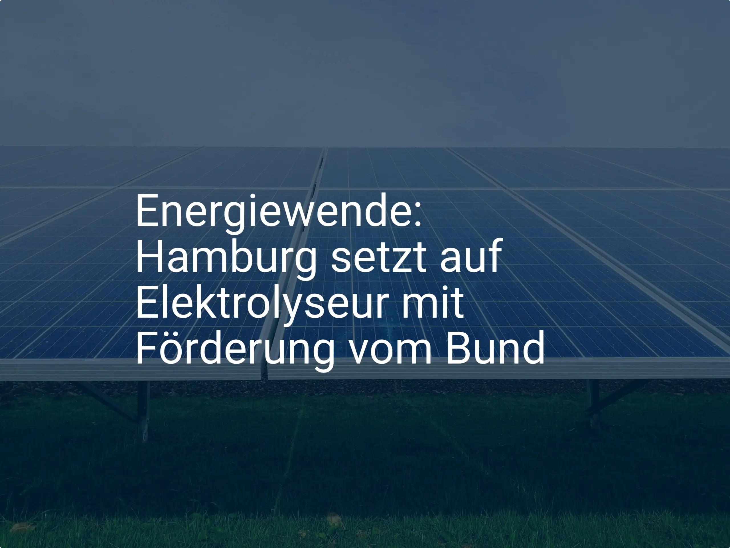 Energiewende: Hamburg setzt auf Elektrolyseur mit Förderung vom Bund
