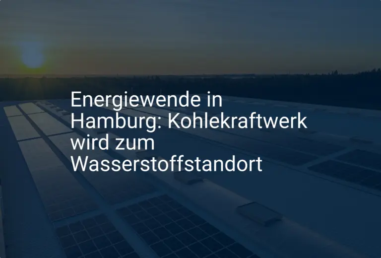 Energiewende in Hamburg: Kohlekraftwerk wird zum Wasserstoffstandort