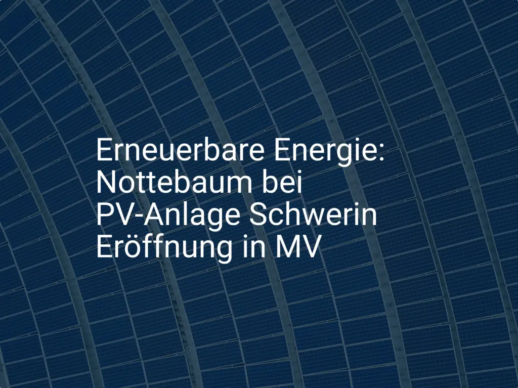Erneuerbare Energie: Nottebaum bei PV-Anlage Schwerin Eröffnung in MV