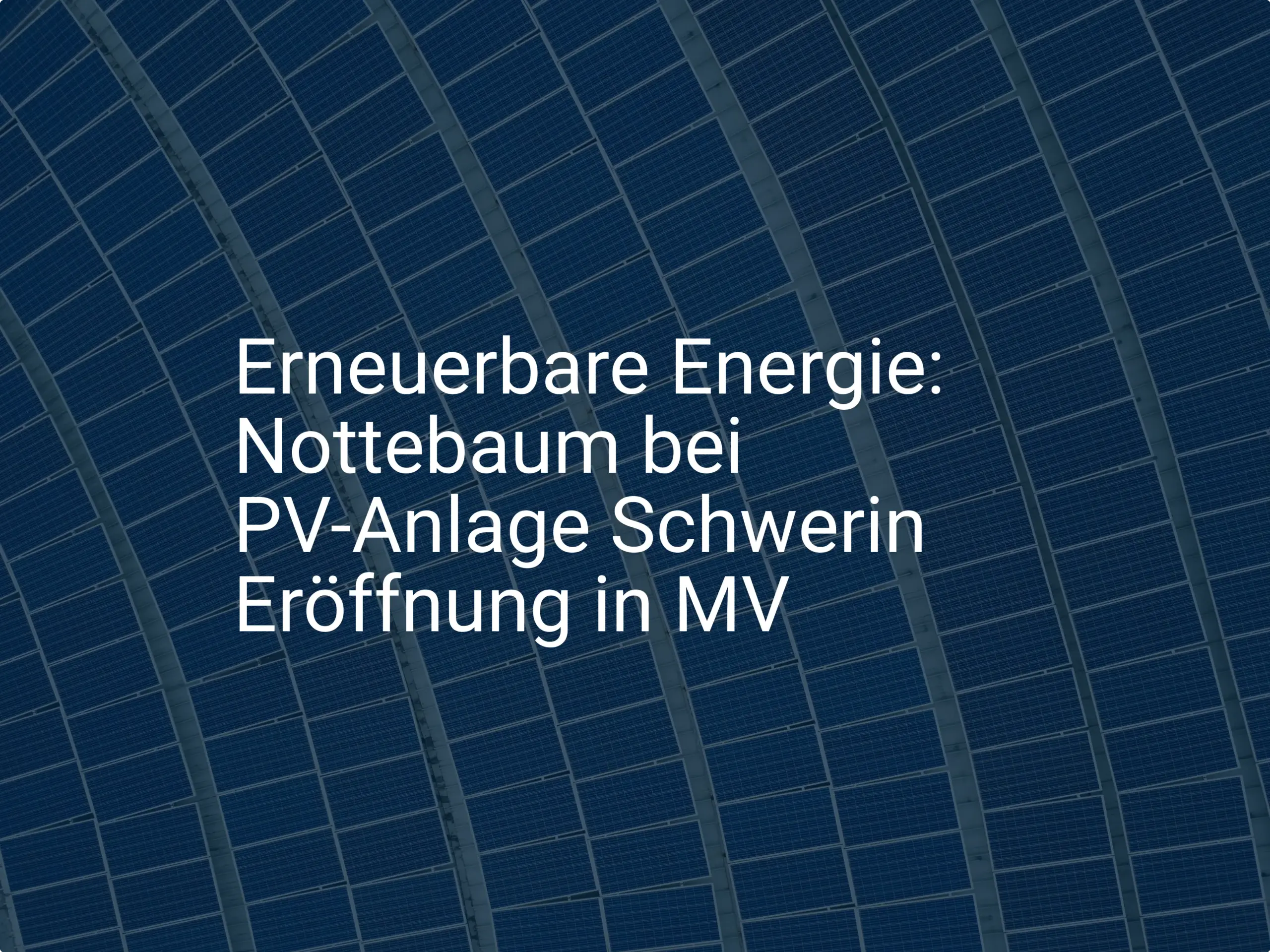Erneuerbare Energie: Nottebaum bei PV-Anlage Schwerin Eröffnung in MV
