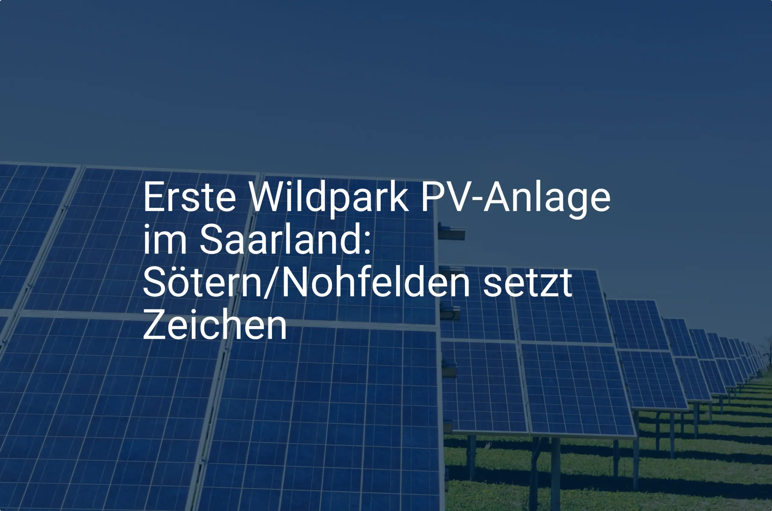 Erste Wildpark PV-Anlage im Saarland: Sötern/Nohfelden setzt Zeichen