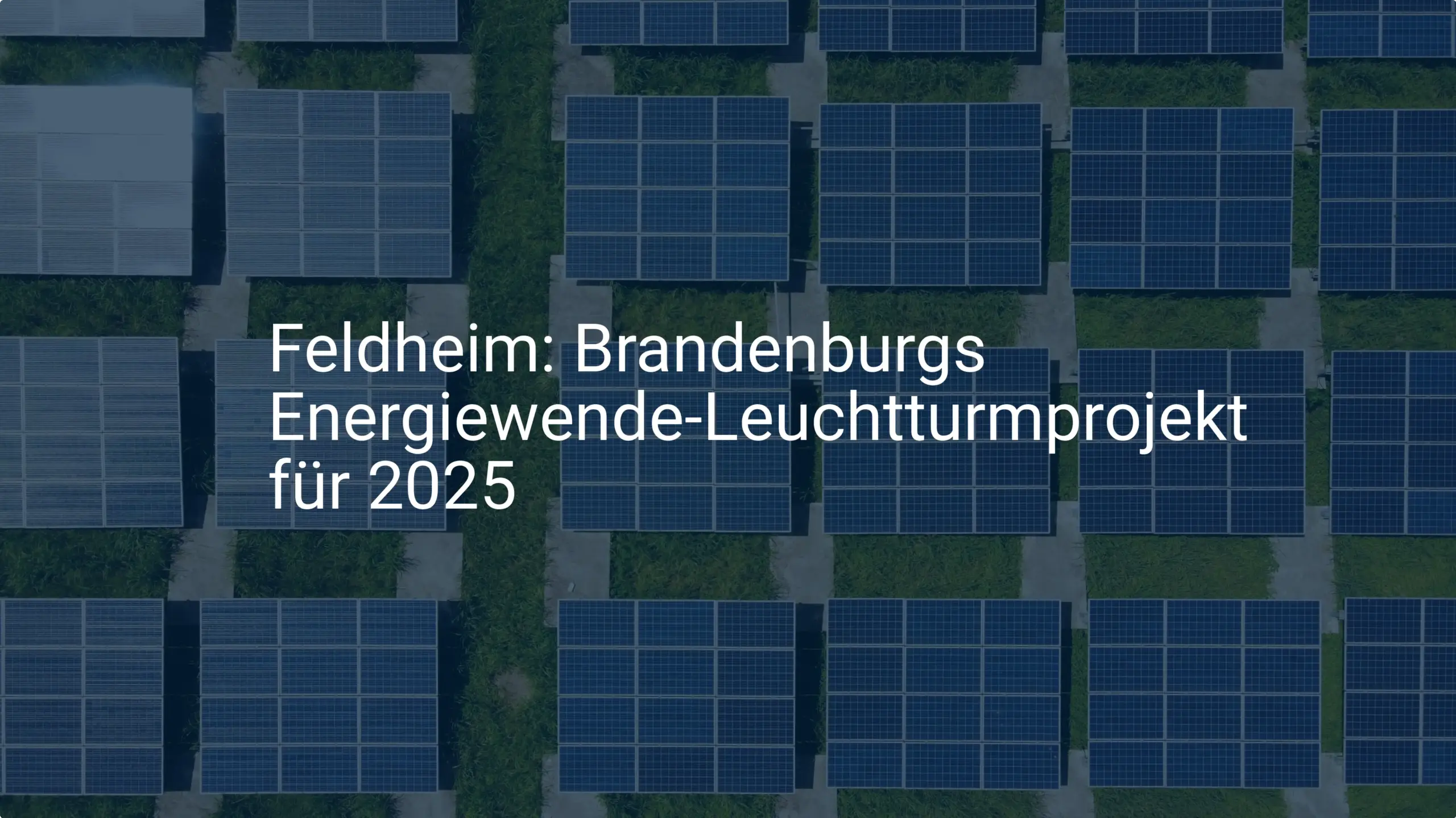 Feldheim: Brandenburgs Energiewende-Leuchtturmprojekt für 2025