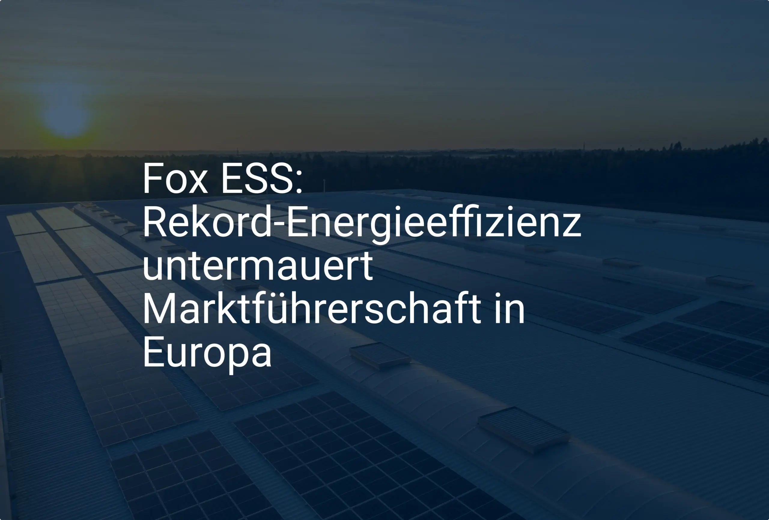 Fox ESS: Rekord-Energieeffizienz untermauert Marktführerschaft in Europa