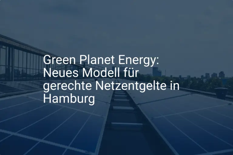 Green Planet Energy: Neues Modell für gerechte Netzentgelte in Hamburg