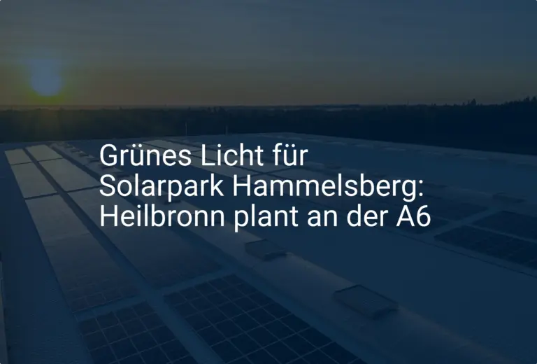 Grünes Licht für Solarpark Hammelsberg: Heilbronn plant an der A6
