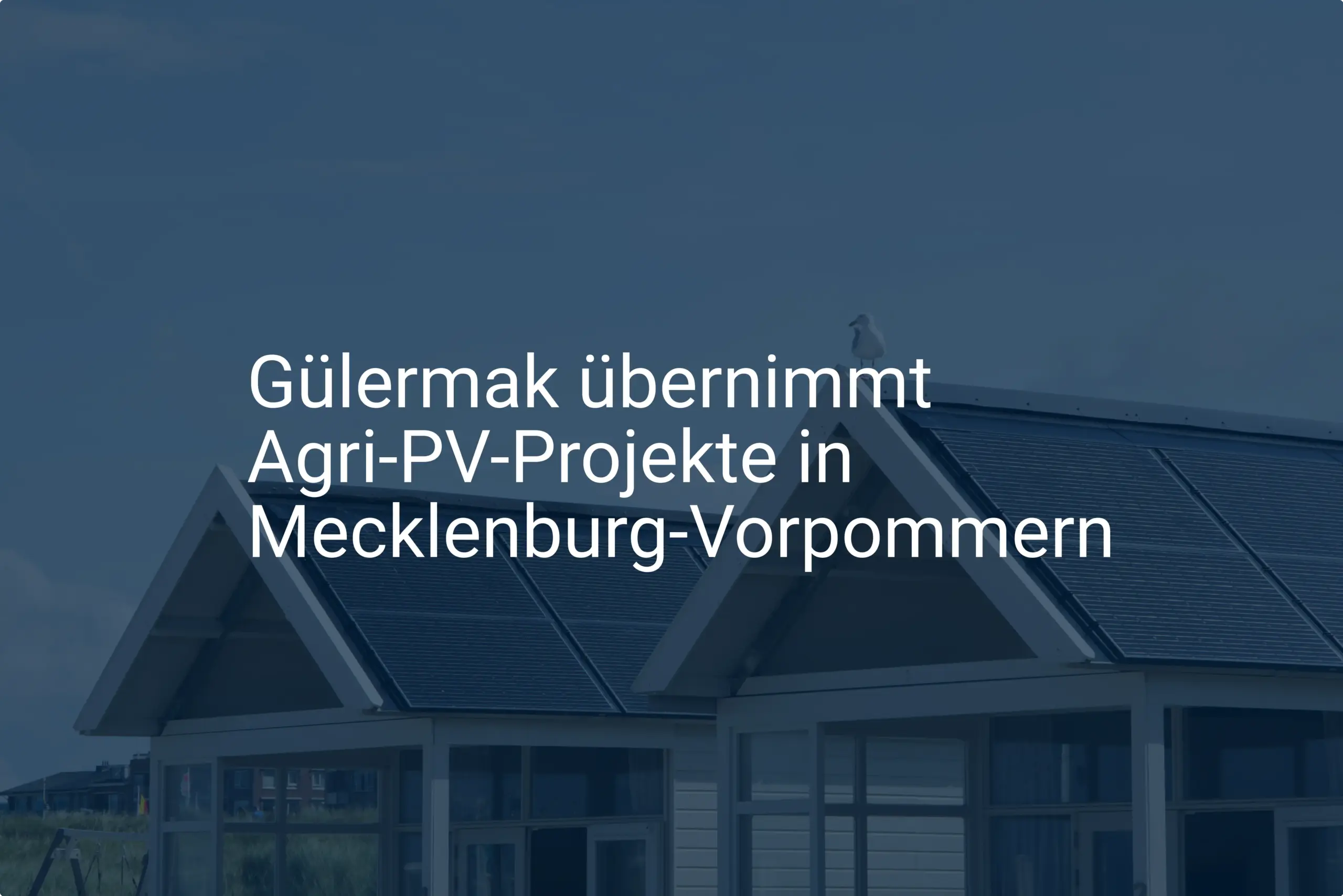 Gülermak übernimmt Agri-PV-Projekte in Mecklenburg-Vorpommern