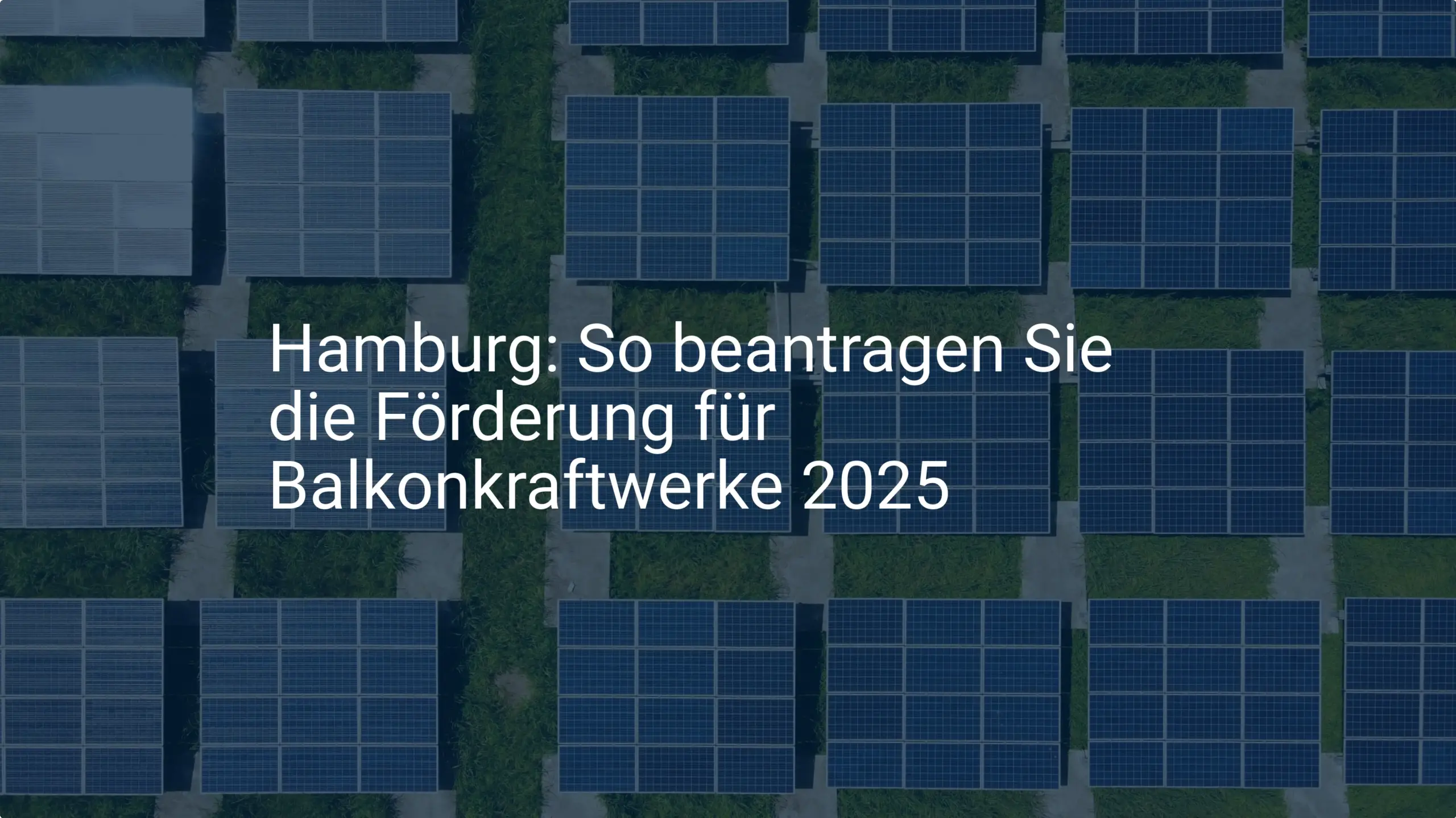 Hamburg: So beantragen Sie die Förderung für Balkonkraftwerke 2025