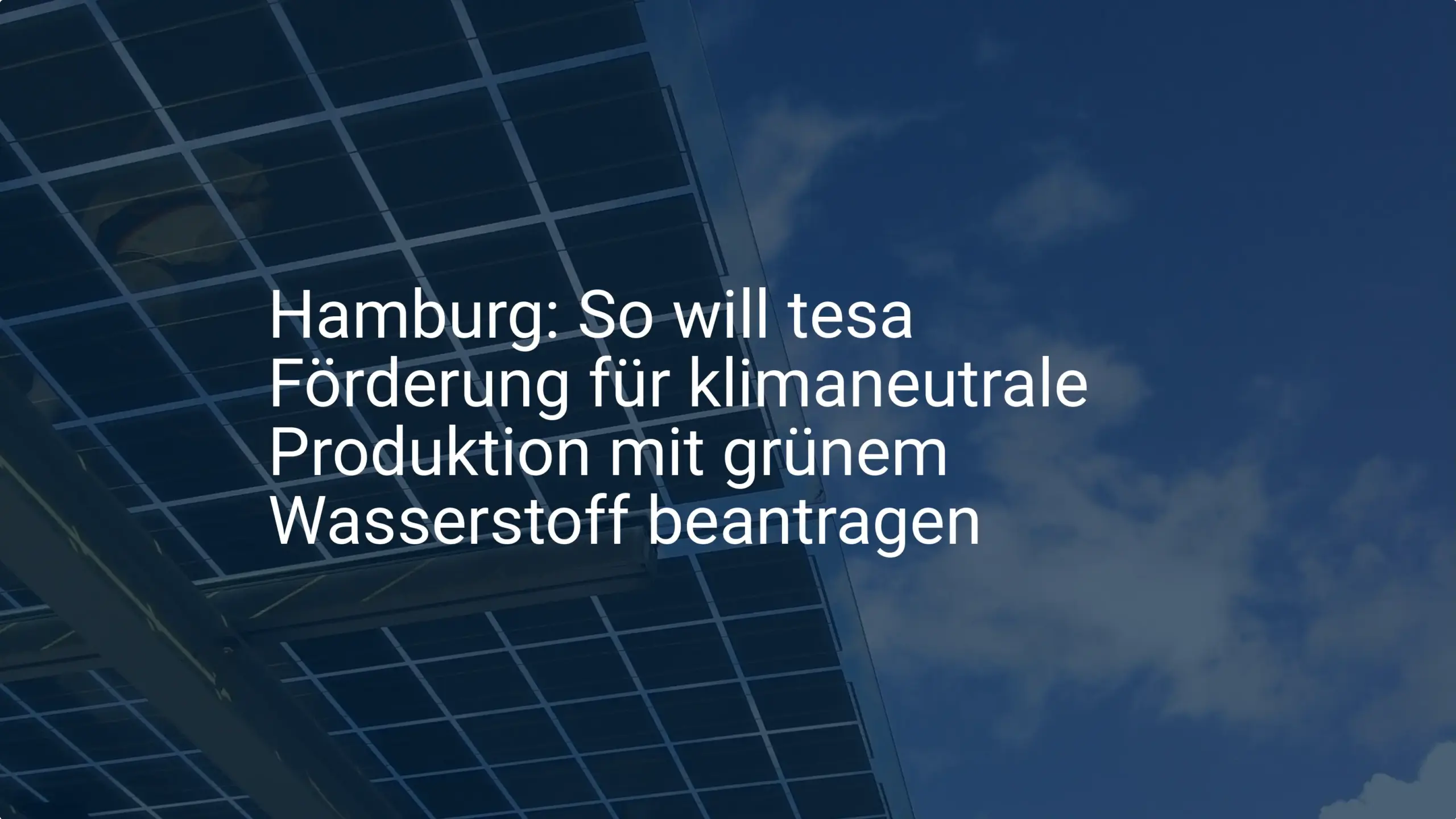 Hamburg: So will tesa Förderung für klimaneutrale Produktion mit grünem Wasserstoff beantragen