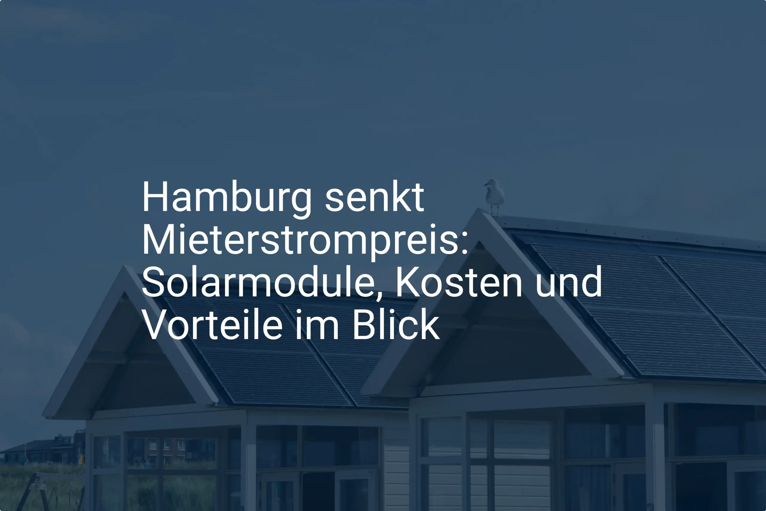 Hamburg senkt Mieterstrompreis: Solarmodule, Kosten und Vorteile im Blick