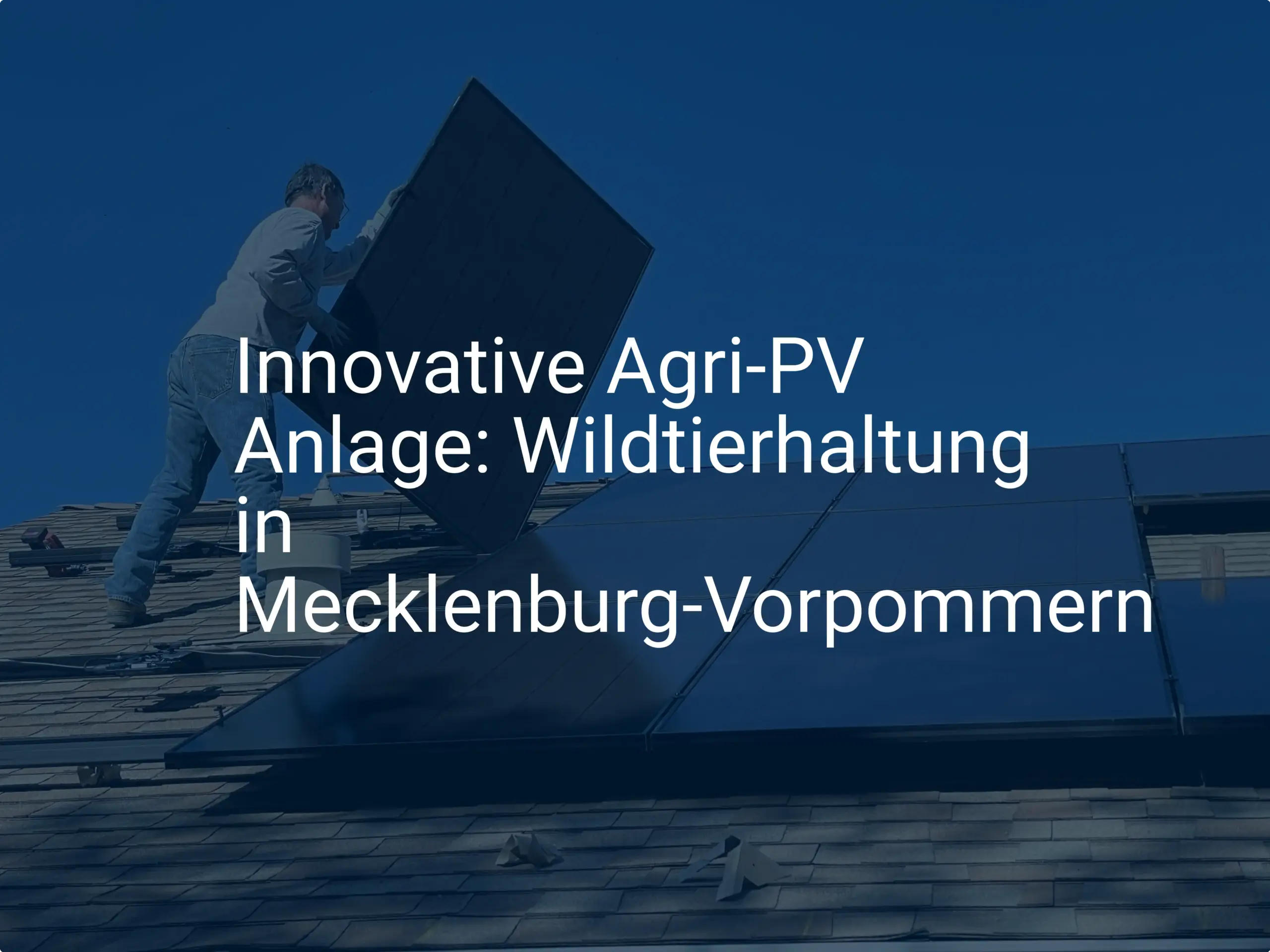 Innovative Agri-PV Anlage: Wildtierhaltung in Mecklenburg-Vorpommern