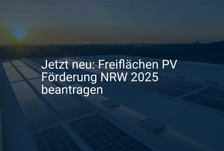 Jetzt neu: Freiflächen PV Förderung NRW 2025 beantragen