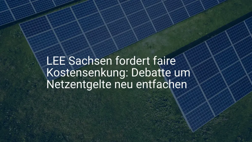 LEE Sachsen fordert faire Kostensenkung: Debatte um Netzentgelte neu entfachen
