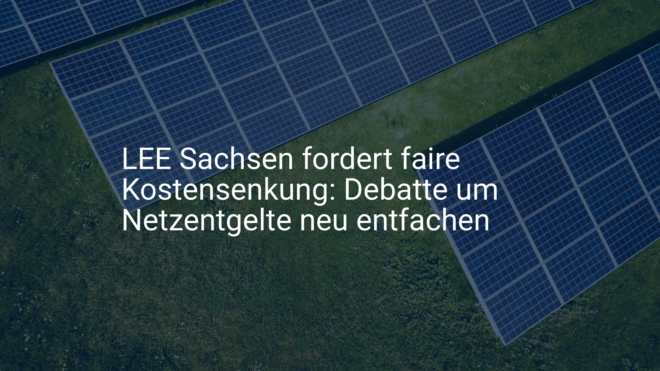 LEE Sachsen fordert faire Kostensenkung: Debatte um Netzentgelte neu entfachen