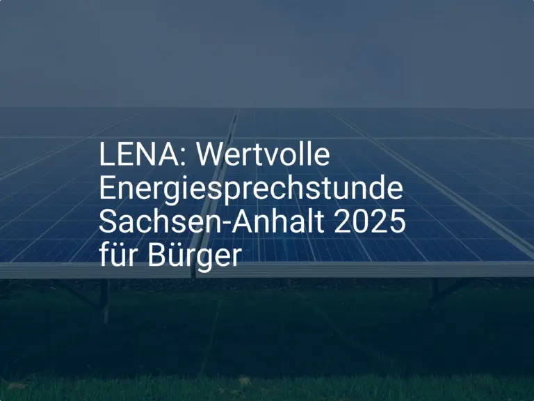LENA: Wertvolle Energiesprechstunde Sachsen-Anhalt 2025 für Bürger