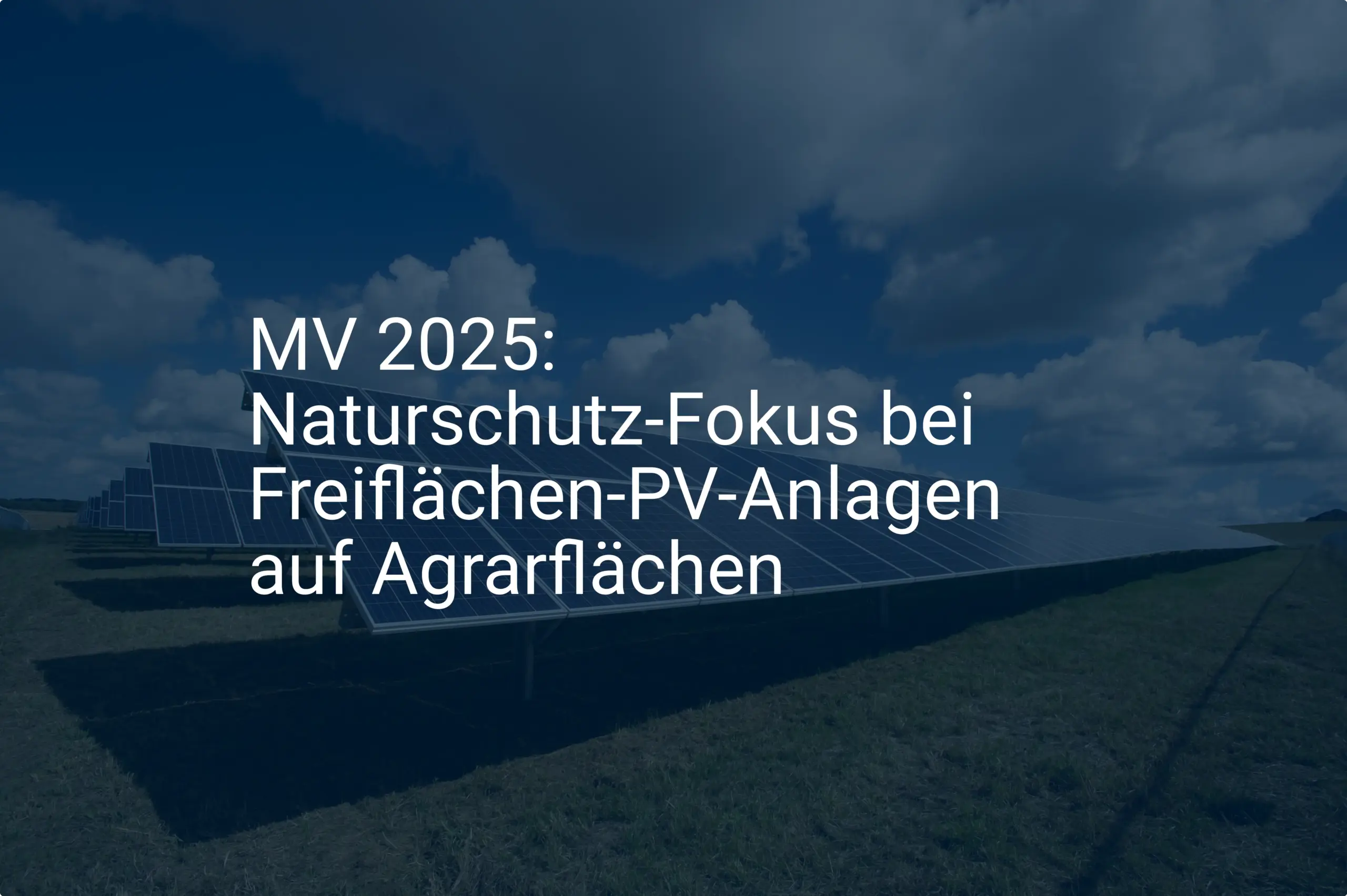 MV 2025: Naturschutz-Fokus bei Freiflächen-PV-Anlagen auf Agrarflächen