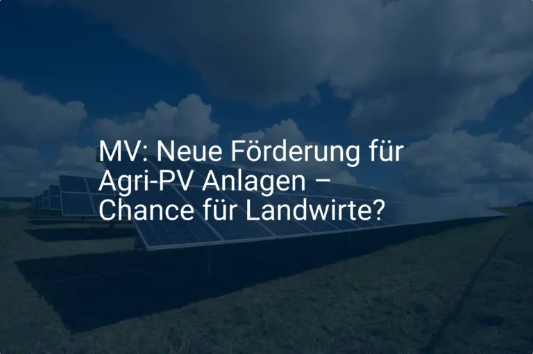 MV: Neue Förderung für Agri-PV Anlagen – Chance für Landwirte?