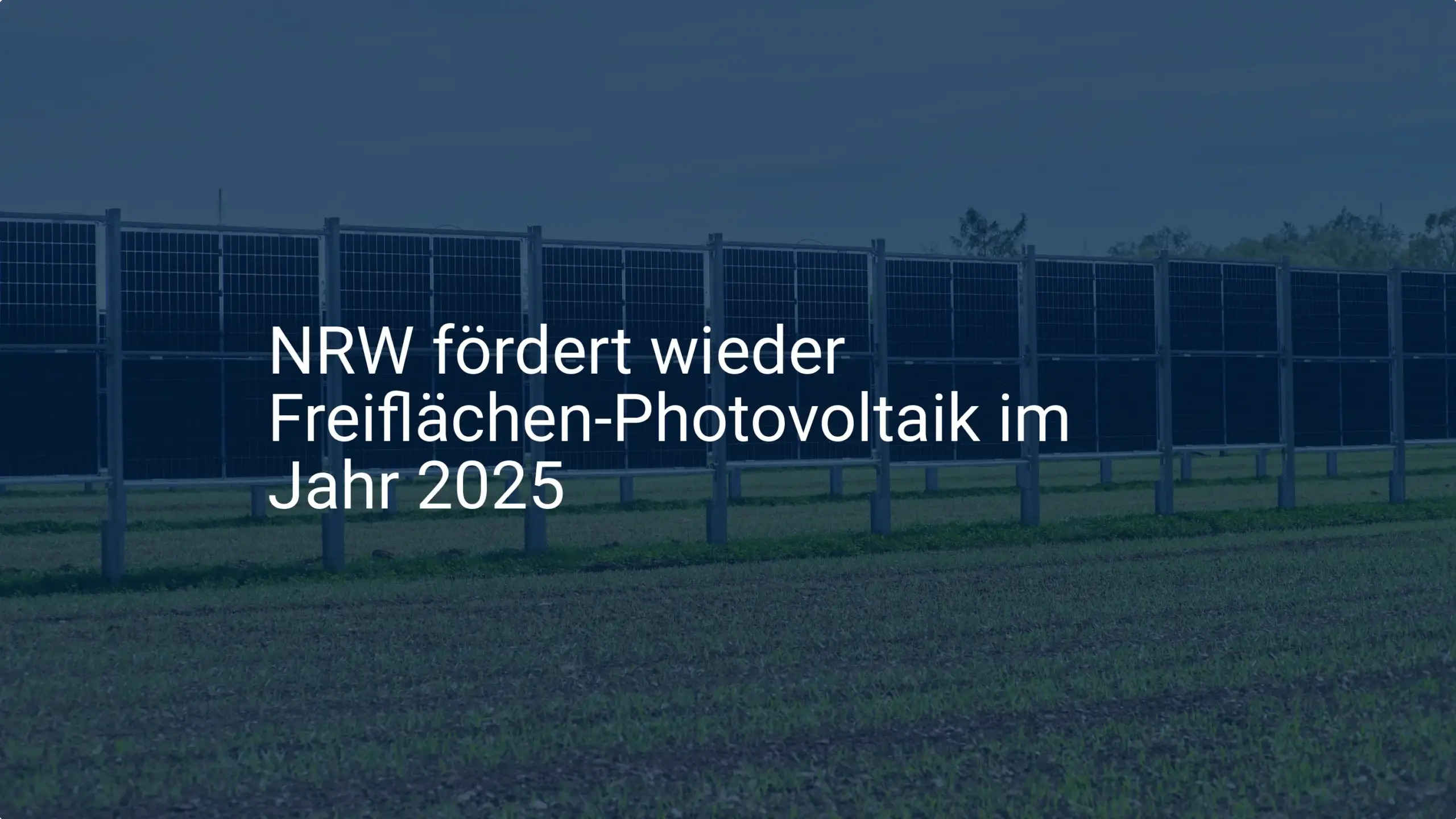 NRW: Neue Freiflächen Photovoltaik Förderung ab 2025 für Landwirte