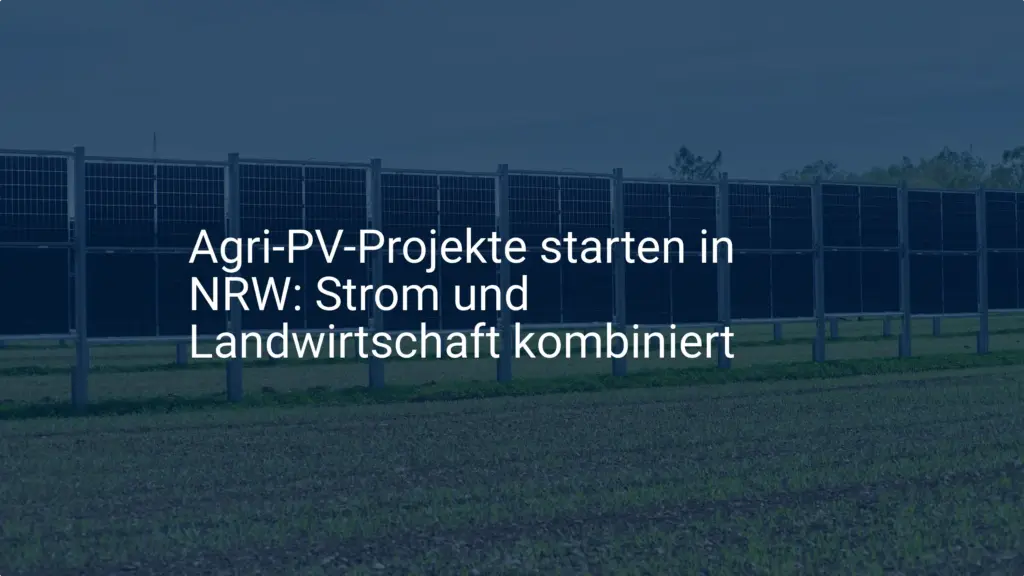 NRW fördert Agri-PV-Projekte: Neue Förderung für Landwirte!