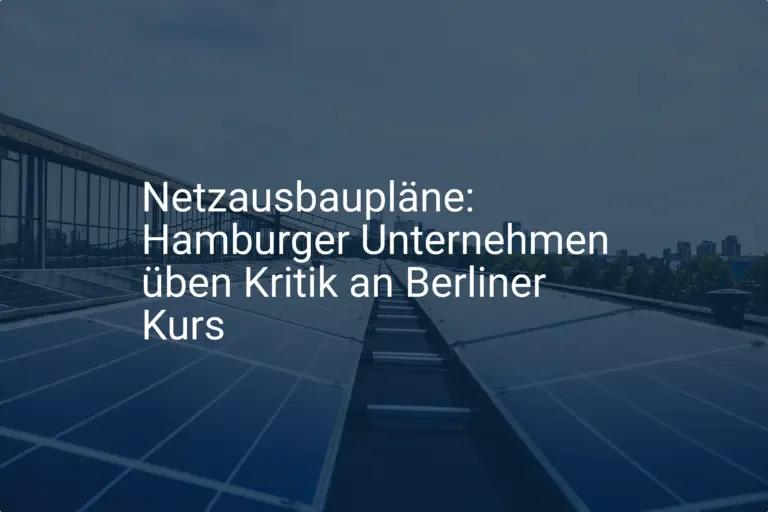 Netzausbaupläne: Hamburger Unternehmen üben Kritik an Berliner Kurs