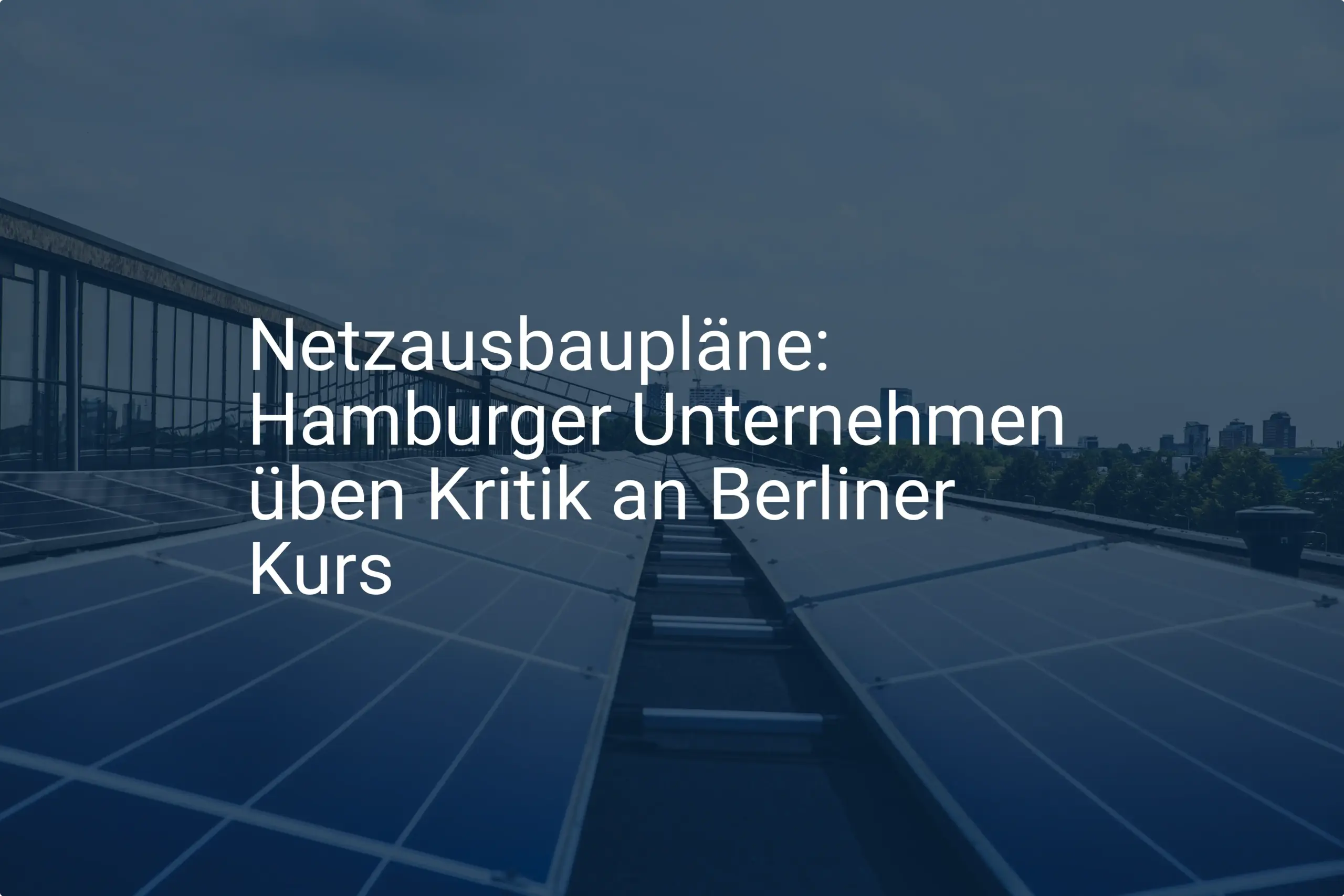Netzausbaupläne: Hamburger Unternehmen üben Kritik an Berliner Kurs