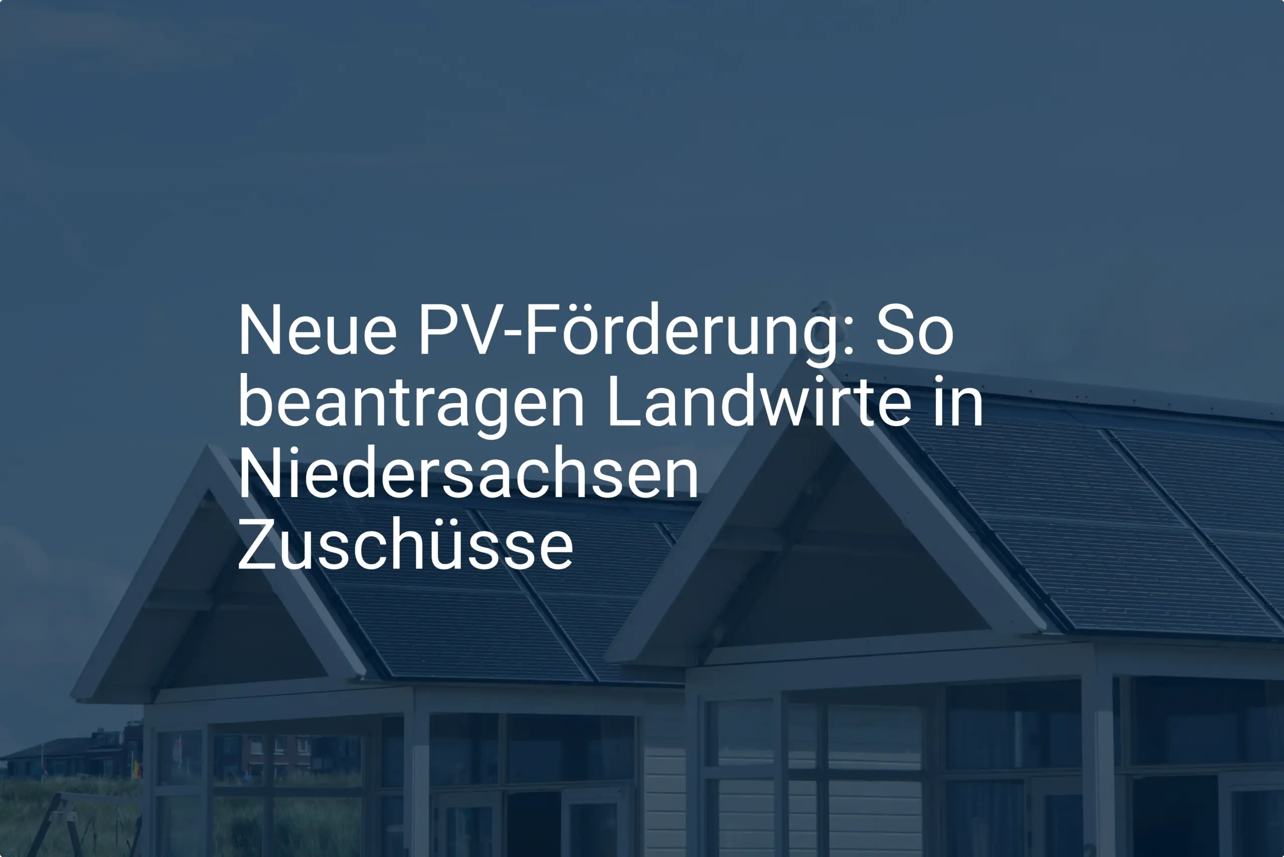 Neue PV-Förderung: So beantragen Landwirte in Niedersachsen Zuschüsse