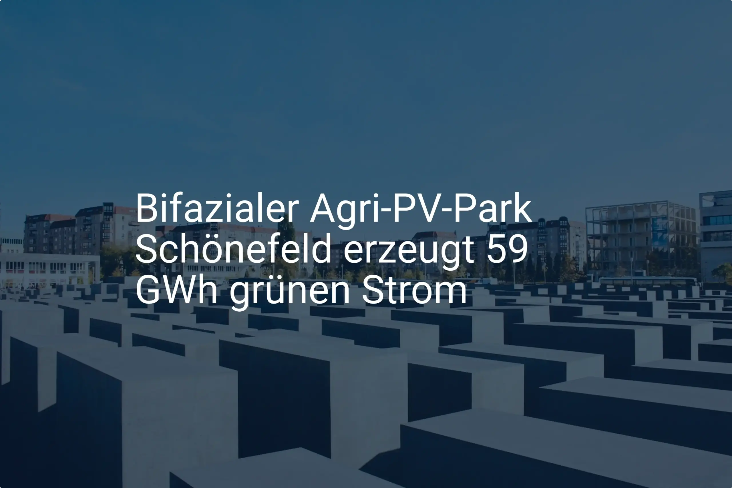 Neuer Agri-PV Park in Schönefeld: Brandenburg setzt auf Stromerzeugung
