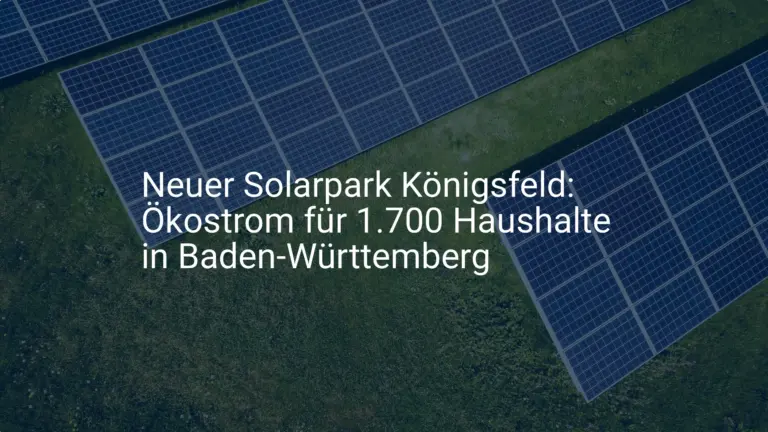 Neuer Solarpark Königsfeld: Ökostrom für 1.700 Haushalte in Baden-Württemberg